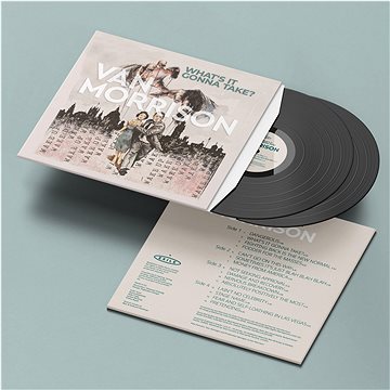 

Morrison Van: What's It Gonna Take (2x LP) - LP