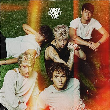 

Why Don't We: Thew Good Times And The Bad Ones - LP