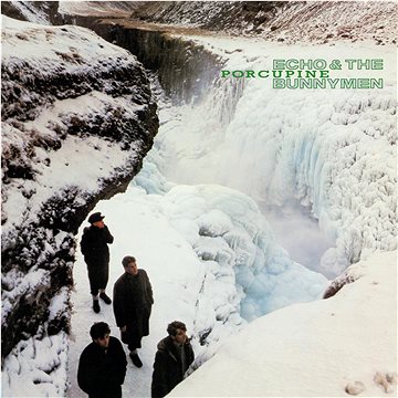 

Echo & The Bunnymen: Porcupine - LP