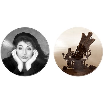 

Bush Kate: Cloudbusting (Picture Disc) - LP