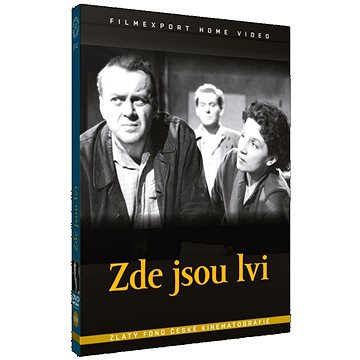 

Zde jsou lvi - DVD