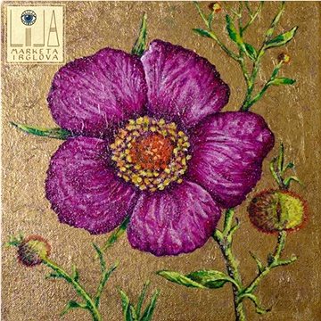 

Irglová Markéta: Lila - CD