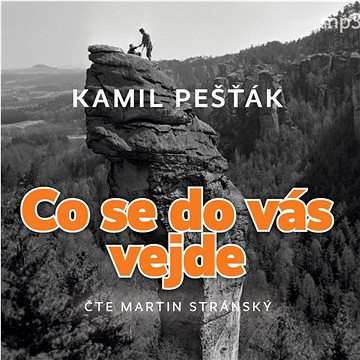 

Pešťák Kamil: Co se do vás vejde
