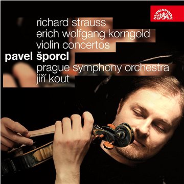 

Šporcl Pavel, Pražský symfonický orchestr, Kout Jiří: Houslové koncerty - CD