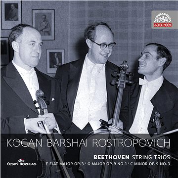

Kogan Leonid, Baršaj Rudolf, Rostropovič Mstislav: Smyčcová tria. Russian Masters (2x CD) - CD