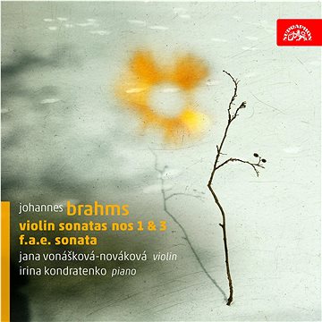 

Vonášková - Nováková Jana ,Kondratěnko Irina: Violin Sonatas 1&2 - CD