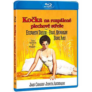 

Kočka na rozpálené plechové střeše - Blu-ray