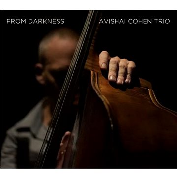 

Cohen Avishai: From Darkness