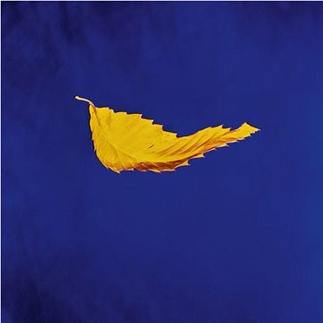

New Order: True Faith