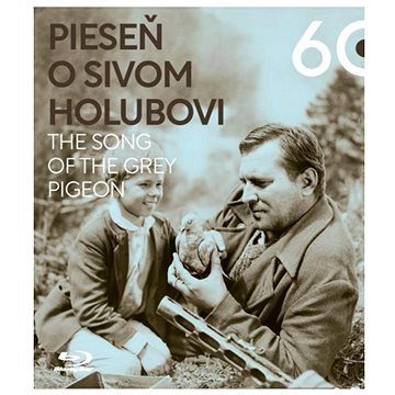 

Pieseň o sivom holubovi