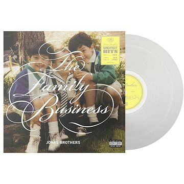 

Jonas Brothers: The Family Business