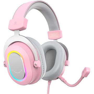 

FIFINE H6P