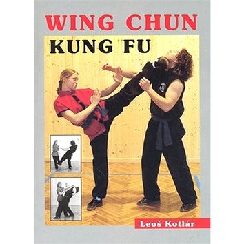 

Wing Chun Kung fu