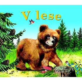 

V lese