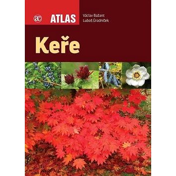 

Keře