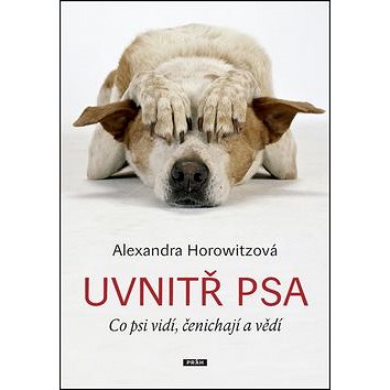 

Uvnitř psa: Co psi vidí, čenichají a vědí