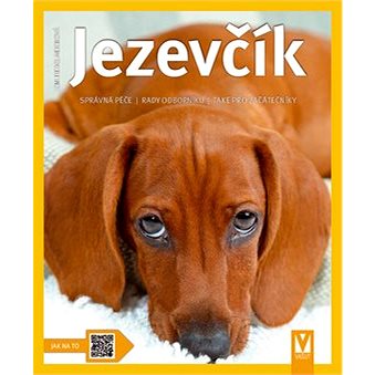 

Jezevčík