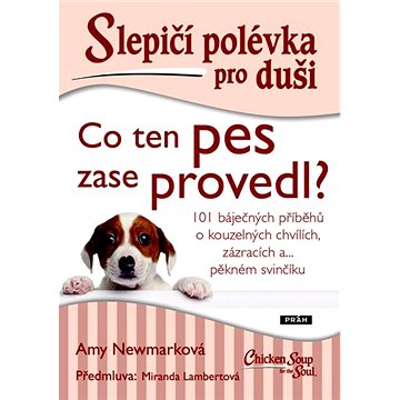 

Slepičí polévka pro duši Co ten pes zase provedl: 101 báječných příběhů o kouzelných chvílích, zázr