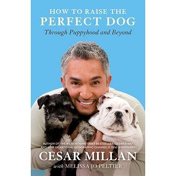 

How to Raise the Perfect Dog: Through Puppyhood and Beyond