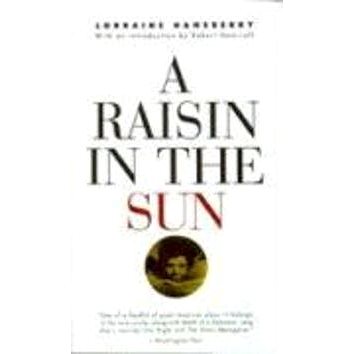 

Raisin in the Sun
