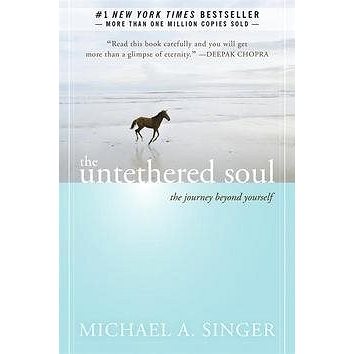 

The Untethered Soul: The Journey Beyond Yourself