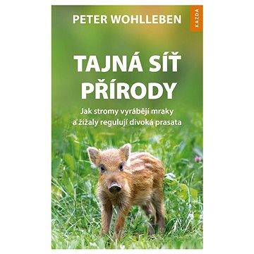 

Tajná síť přírody: Jak stromy vyrábějí mraky a žížaly regulují divoká prasata