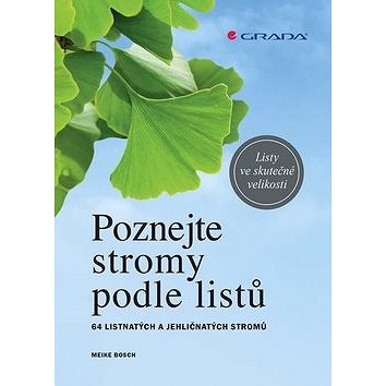 

Poznejte stromy podle listů: 64 listnatých a jehličnatých stromů