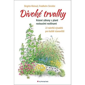 

Divoké trvalky: Krásné záhony s planě rostoucími rostlinami