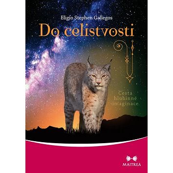 

Do celistvosti: Cesta hlubinné imaginace