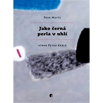 

Jako černá perla v uhlí