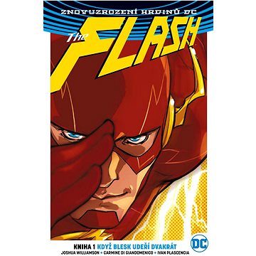 

Znovuzrození hrdinů DC: Flash 1: Když blesk udeří dvakrát (brož.)