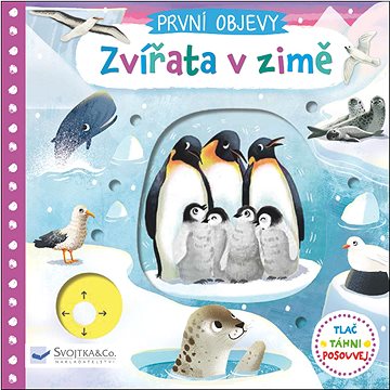 

První objevy Zvířata v zimě