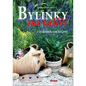 

Bylinky na talíři i v domácím léčení