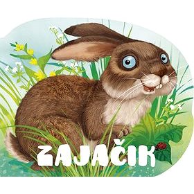 

Zajačik
