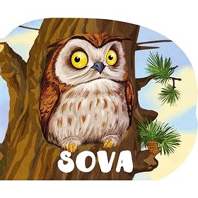 

Sova