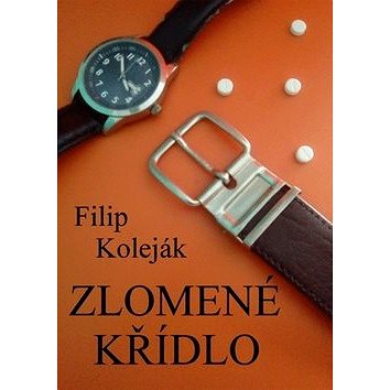 

Zlomené křídlo