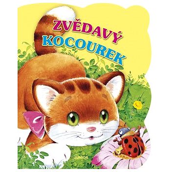 

Zvědavý kocourek