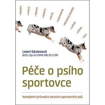 

Péče o psího sportovce: Kompletní průvodce zdravím sportovních psů