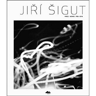 

Jiří Šigut Práce/Works
