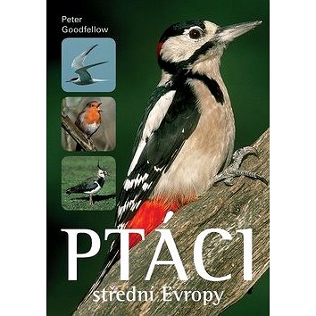 

Ptáci střední Evropy