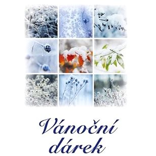 

Vánoční dárek