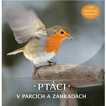

Ptáci v parcích a zahradách: 130 unikátních fotografií
