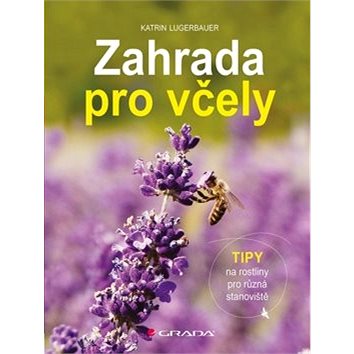 

Zahrada pro včely: Tipy na rostliny pro různá stanoviště