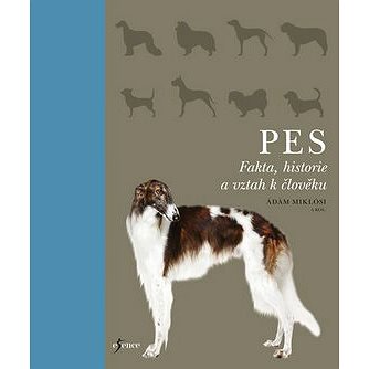 

Pes: Fakta, historie a vztah k člověku