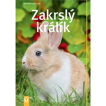 

Zakrslý králík