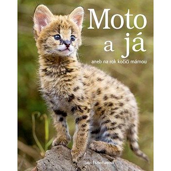 

Moto a já: aneb na rok kočičí mámou