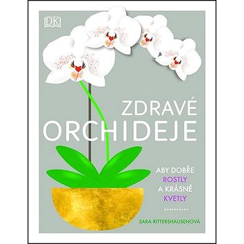 

Zdravé orchideje: Aby dobře rostly a krásně kvetly