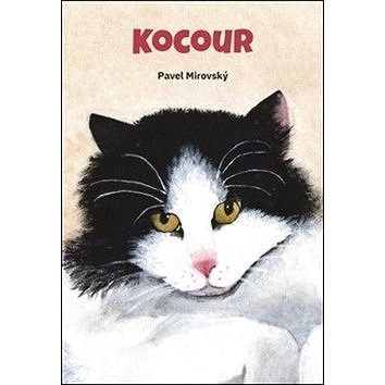 

Kocour