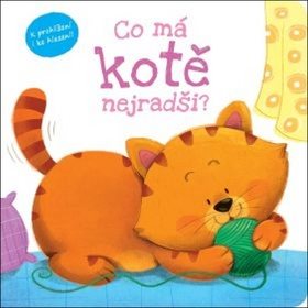 

Co má kotě nejradši