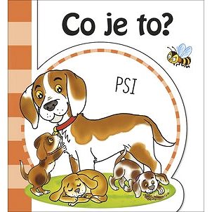 

Co je to Psi